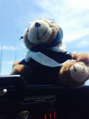 CoPilot Bear at FL16 - and no Oxygen!  Feelin' good.