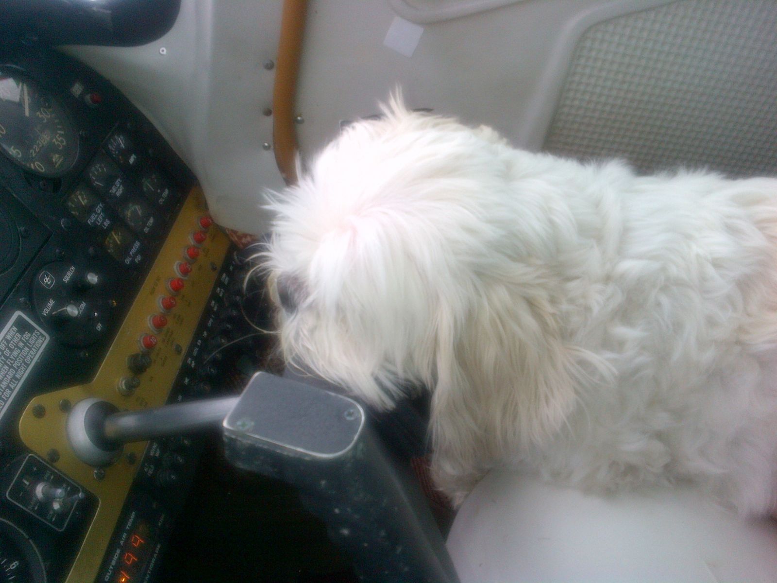 Copilot on return from 2014 MAPA Homecoming