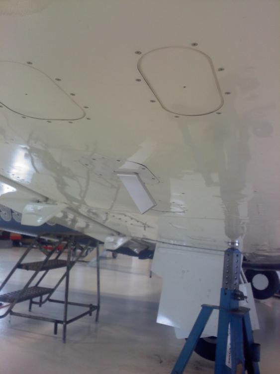 AoA tube in wing.jpg