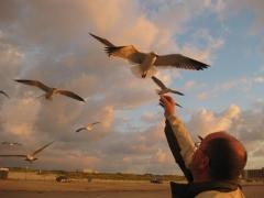 I have a new appreciation for the birds - they have flown all their lives.