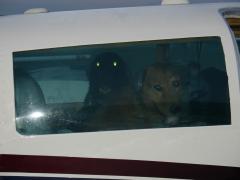 Co-Pilots ready to go!