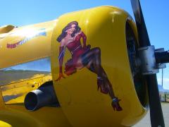 SNJ-4 Nose Art.  Why not nose art for my Mooney?  My wife would never fly with me.