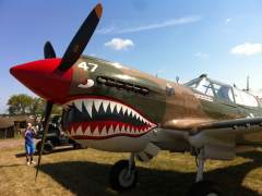 P40 Warhawk - OSH