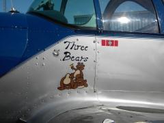 Nice Nose art