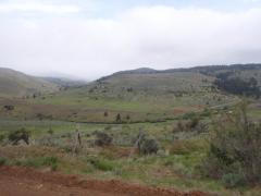 Picture of my runway in Medical springs, OR 1900ft. Very smooth, but had a few cow patties! Don't doubt a Mooney!