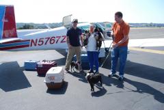 The dogs with their new owners. That's me on the left.