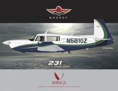 New paint scheme done by Wings Aviation Design in Dallas