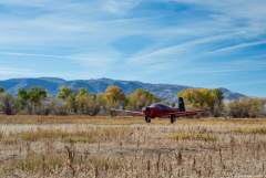 Landing in a field!