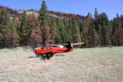 Weatherby USFS ID Airstrip