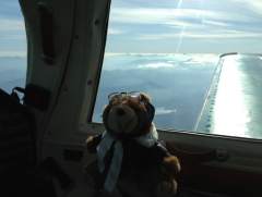 CoPilot Bear over the Adirondacks