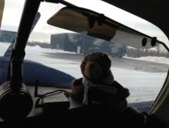 co Pilot bear watches over N10933 when in the hangar.