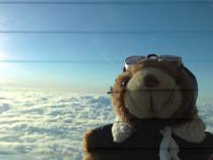 Good times for co-Pilot Bear