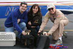 Pups Fly from NC to NJ