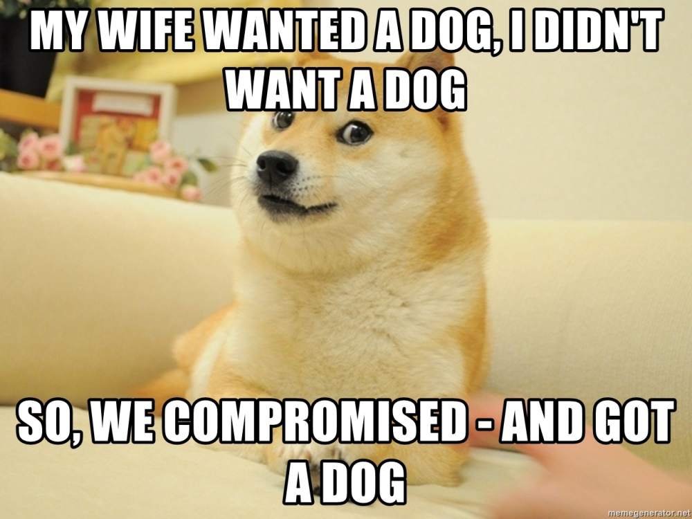 my-wife-wanted-a-dog-i-didnt-want-a-dog-so-we-compromised-and-got-a-dog.jpg