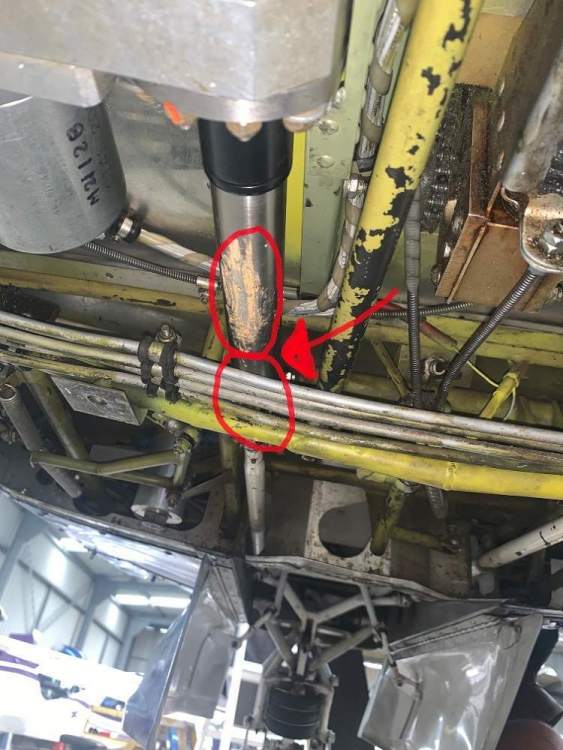 Fuel line.jpg